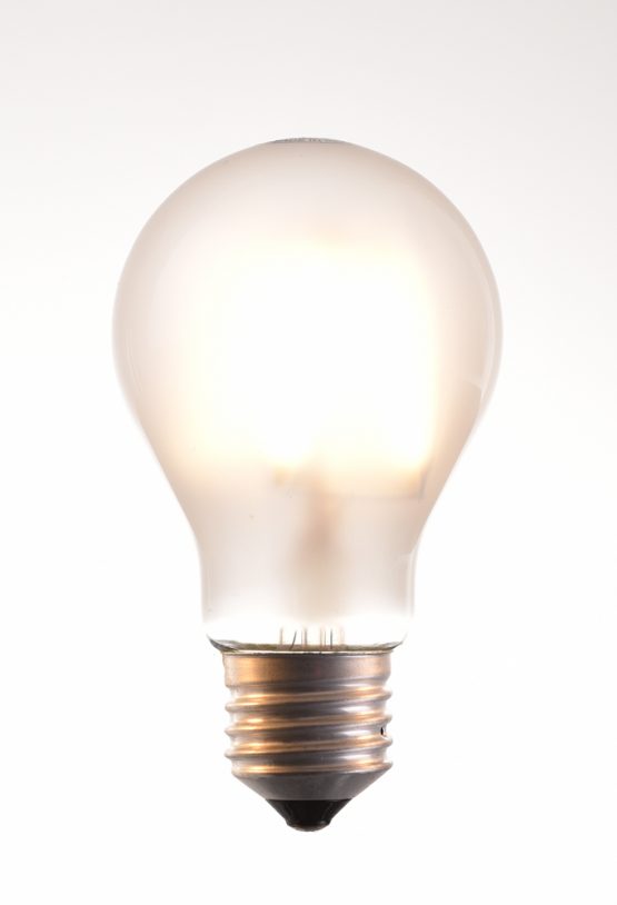 a-60 LED filament bulbs 2, 4, 6, 8 watt 2700K warm white 220V E27 frosted by piment rouge lighting bali