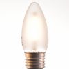 c-35 LED filament bulb 2, 4 watt 2700K warm white 220V E27 frosted by piment rouge lighting bali