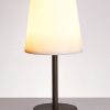 piment-rouge-custom-lighting-manufacturer-benita-resin-shade-lamp