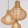 piment-rouge-lighting-manufacturer-bawang-syntec-pendant-lamp-image piment-rouge-lighting-manufacturer-bawang-syntec-pendant-lamp-image