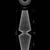 piment-rouge-lighting-manufacturer-wasp-standing-lamp-technical-drawing